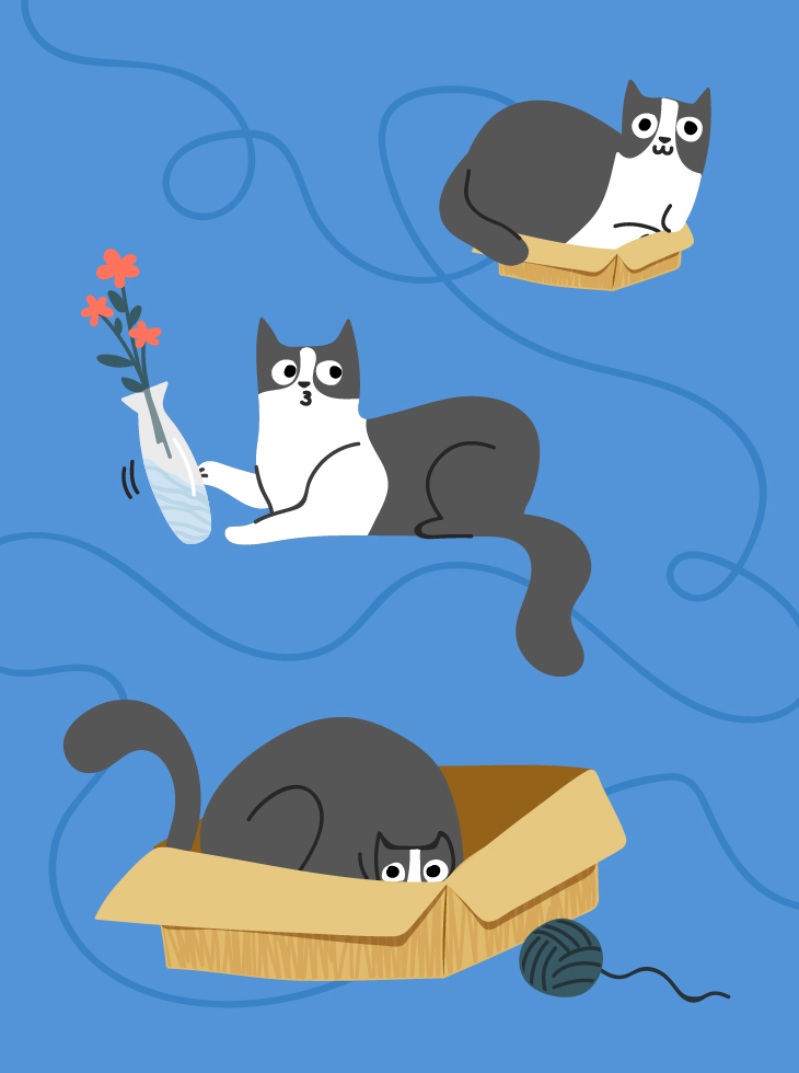 Топ-10 книг про кошек.