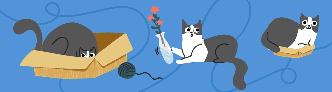 Топ-10 книг про кошек.