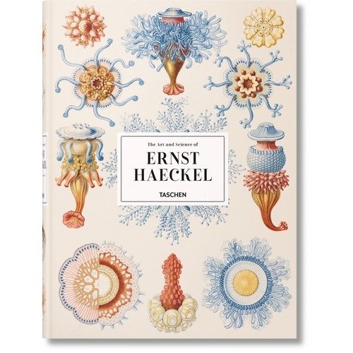 Rainer Willmann. The Art and Science of Ernst Haeckel цена и фото