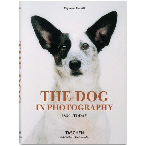 Raymond Merritt. The Dog in Photography. 1839-Today erwitt elliott dog dogs