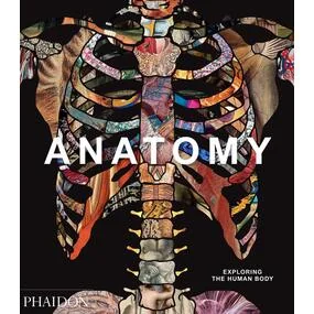 Anatomy: Exploring the Human Body