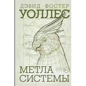 Метла системы