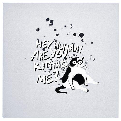 Альбом для рисования Be Smart Hey Human Кот белый, 170 х 170 мм, 40 листов, на спирали