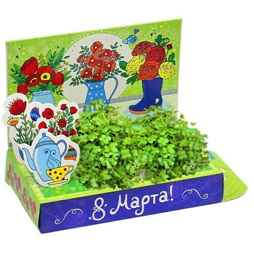 Подарочный набор Happy Plant Живая открытка. Маки подарочный набор happy plant с днём рождения котик