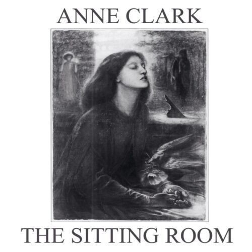 Виниловая пластинка Anne Clark – The Sitting Room LP старый винил mercury peter hammill sitting targets lp used