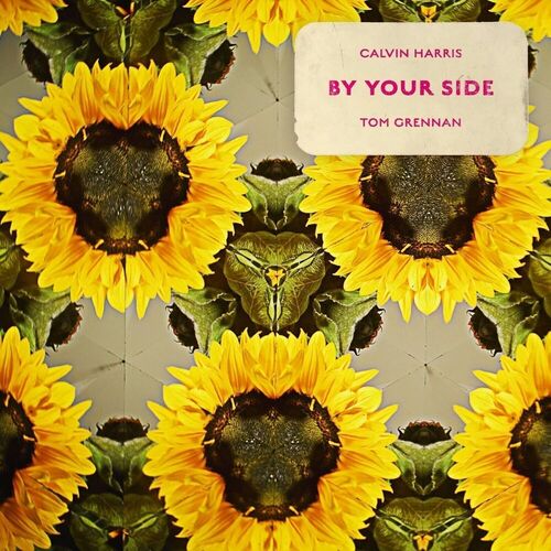 Виниловая пластинка Calvin Harris Ft. Tom Grennan – By Your Side (Single, Picture Disc) LP
