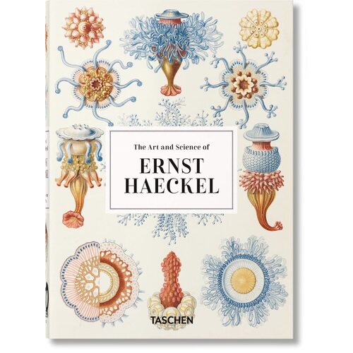 Rainer Willmann. The Art and Science of Ernst Haeckel