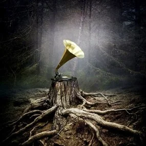 Аквариум – Тор LP