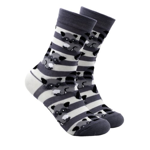 Носки Krumpy Socks Niceee Енот в полоску, размер 35-40