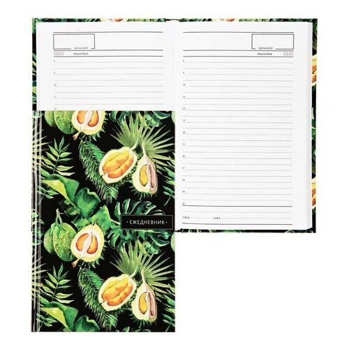 Ежедневник FIORENZO Durian недатированный А5 128 листов твердая обложка 230₽