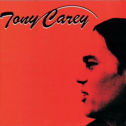 Виниловая пластинка Tony Carey – I Won't Be Home Tonight LP салфетка на стол i don t care