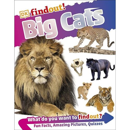 Big Cats big cats