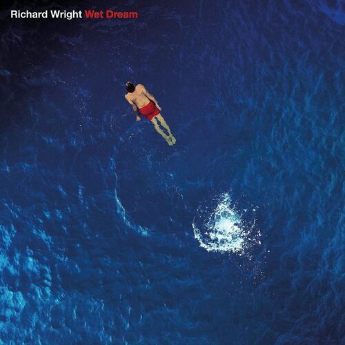Виниловая пластинка Richard Wright – Wet Dream (Blue Marbled) LP pink floyd the final cut lp щетка для lp brush it набор