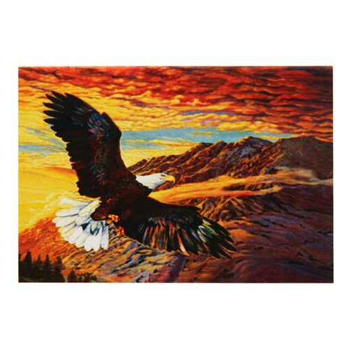 Картина по номерам Парящий орел, 20х30 см орел парящий над горным озером раскраска картина по номерам на холсте