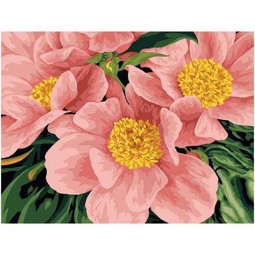Картина по номерам на картоне Три совы Розовый цвет, 30х40 см