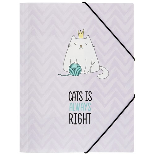 Папка на резинке Meshu Right cat А4 500мкм 270₽