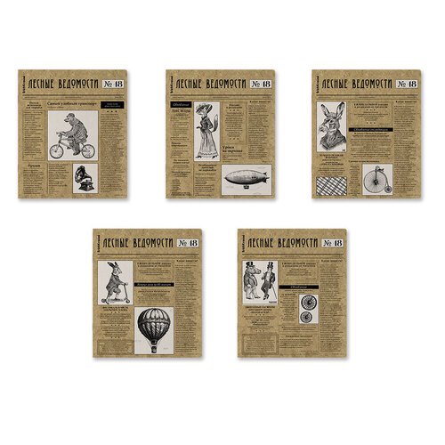 Тетрадь общая ученическая ErichKrause Новости 48 листов клетка в ассортименте 80₽