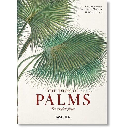 H Walter Lack Martius The Book of Palms 40th Ed 4020₽