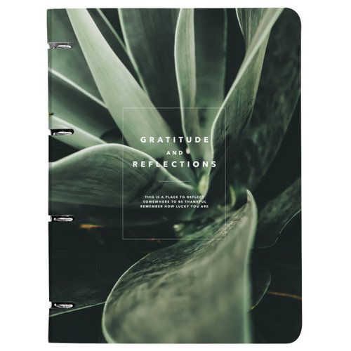 Тетрадь общая Be Smart Botanica 240х310 мм 120 л клетка кольцевой механизм картон сансевиерия 940₽