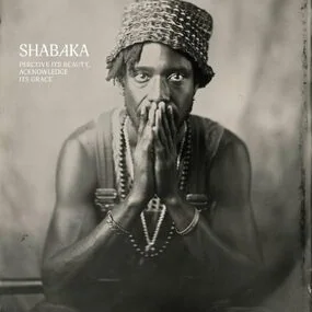 Shabaka Hutchings - Perceive Its Beauty, Acknowledge Its Grace LP