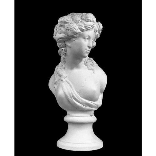 Флора гипс 1500₽