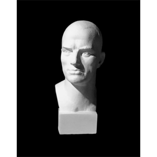 Бюст Маяковский гипс 1100₽