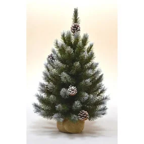 Ель Triumph Tree Ель Женева, заснеженная в мешочке, с шишками, 60 см