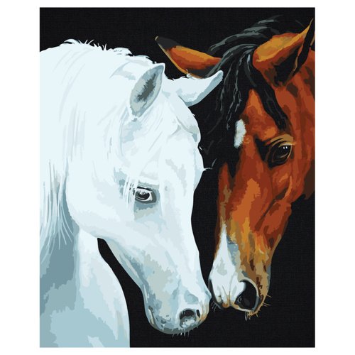 Картина по номерам на черном холсте Три Совы Нежные чувства 40х50 см 1000₽