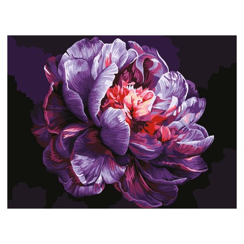 Картина по номерам на картоне Три Совы Сиреневый пион 30 40 см с акриловыми красками и кистями 750₽