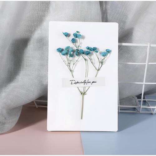 Открытка белая с голубыми сухоцветами 200₽