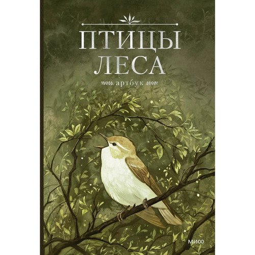 Geo Saiko Птицы леса Артбук 1850₽