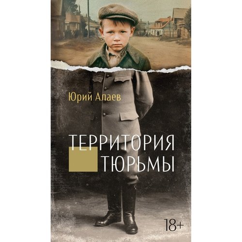 Юрий Алаев Территория тюрьмы 1057₽