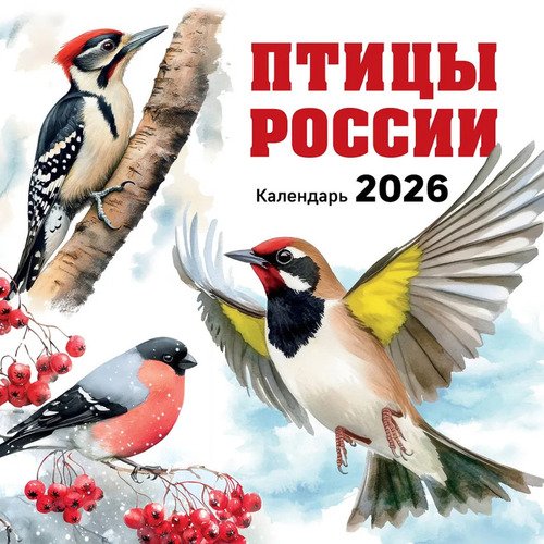 Птицы России Календарь настенный на 2026 год 350₽