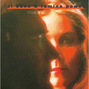 Al Bano & Romina Power - The Collection 2LP