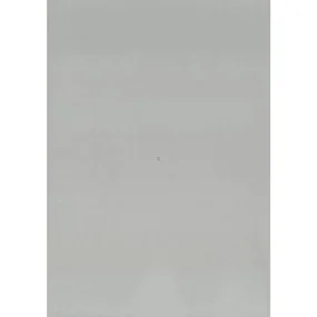 Daido Moriyama - Nagisa