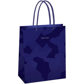 Пакет подарочный 18х23х10см Meshu Blue pattern