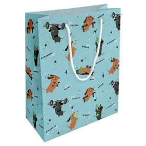 Пакет бумажный, подарочный, Be Smart, 25х32см, Hobby, голубой