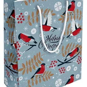 Пакет бумажный, подарочный, Be Smart, 32х49 см, Frost, снегири