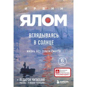 Вглядываясь в солнце. Жизнь без страха смерти