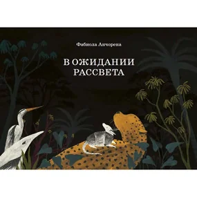 В ожидании рассвета