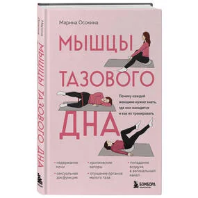 Мышцы тазового дна