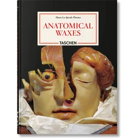 Anatomical Waxes. 45th Ed