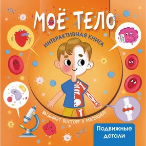 Моё тело