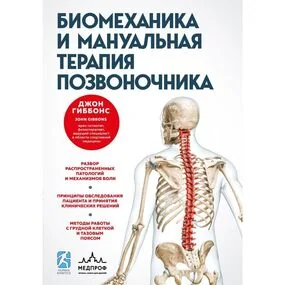 Биомеханика и мануальная терапия позвоночника