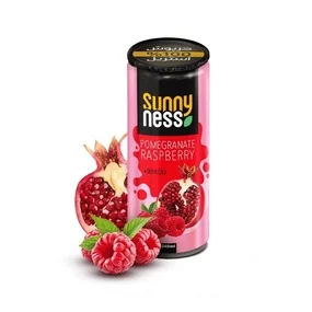 Напиток газированный Sunny Ness Гранат и малина, 240мл