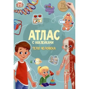 Атлас с наклейками. Тело человека