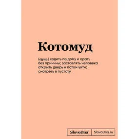Блокнот SlovoDna. Котомуд (новый контент)