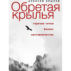 Обретая крылья. Горячие точки - бизнес - наставничество