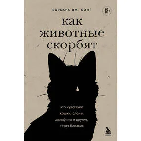 Как животные скорбят. Что чувствуют кошки, слоны, дельфины и другие, теряя близких