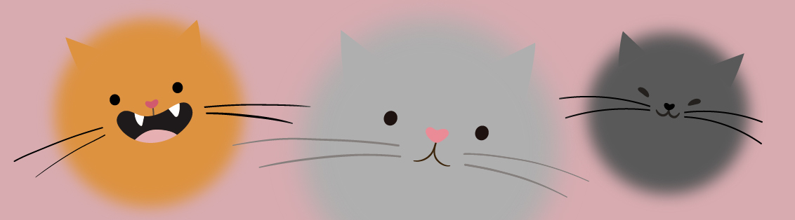 День котиков в Р*.